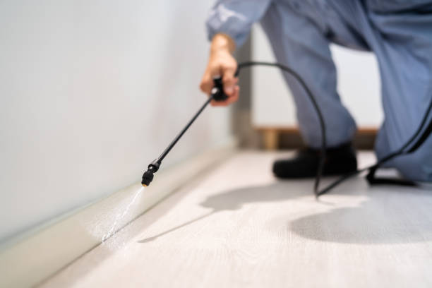 Licensed Pest Control service in Hamilton, IL - Show Me Pest Control