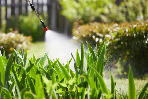 24/7 Emergency Mosquito Control experts in Hamilton, IL