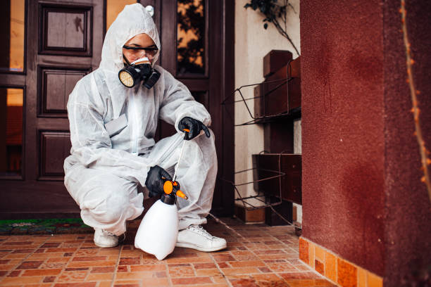 Reliable Mosquito Control contractor in Hamilton, IL by Show Me Pest Control