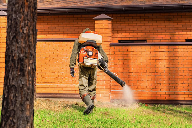 Top rated local Mosquito Control specialists in Hamilton, IL